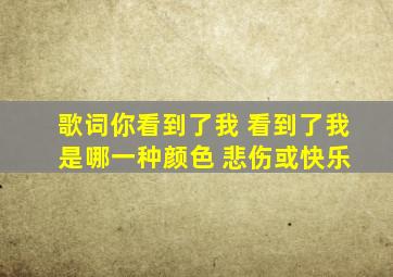 歌词你看到了我 看到了我 是哪一种颜色 悲伤或快乐